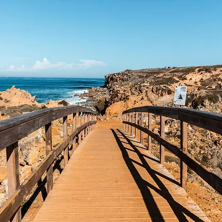 別荘 Casa Alegria By Cosycasa